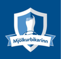 冰岛杯logo
