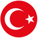土耳其国家队