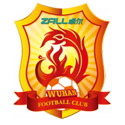 武汉队logo