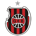 布拉希尔佩洛塔斯logo