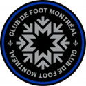 蒙特利尔冲击logo