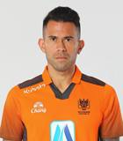 哈维尔·帕蒂尼奥头像