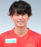 加藤大智头像