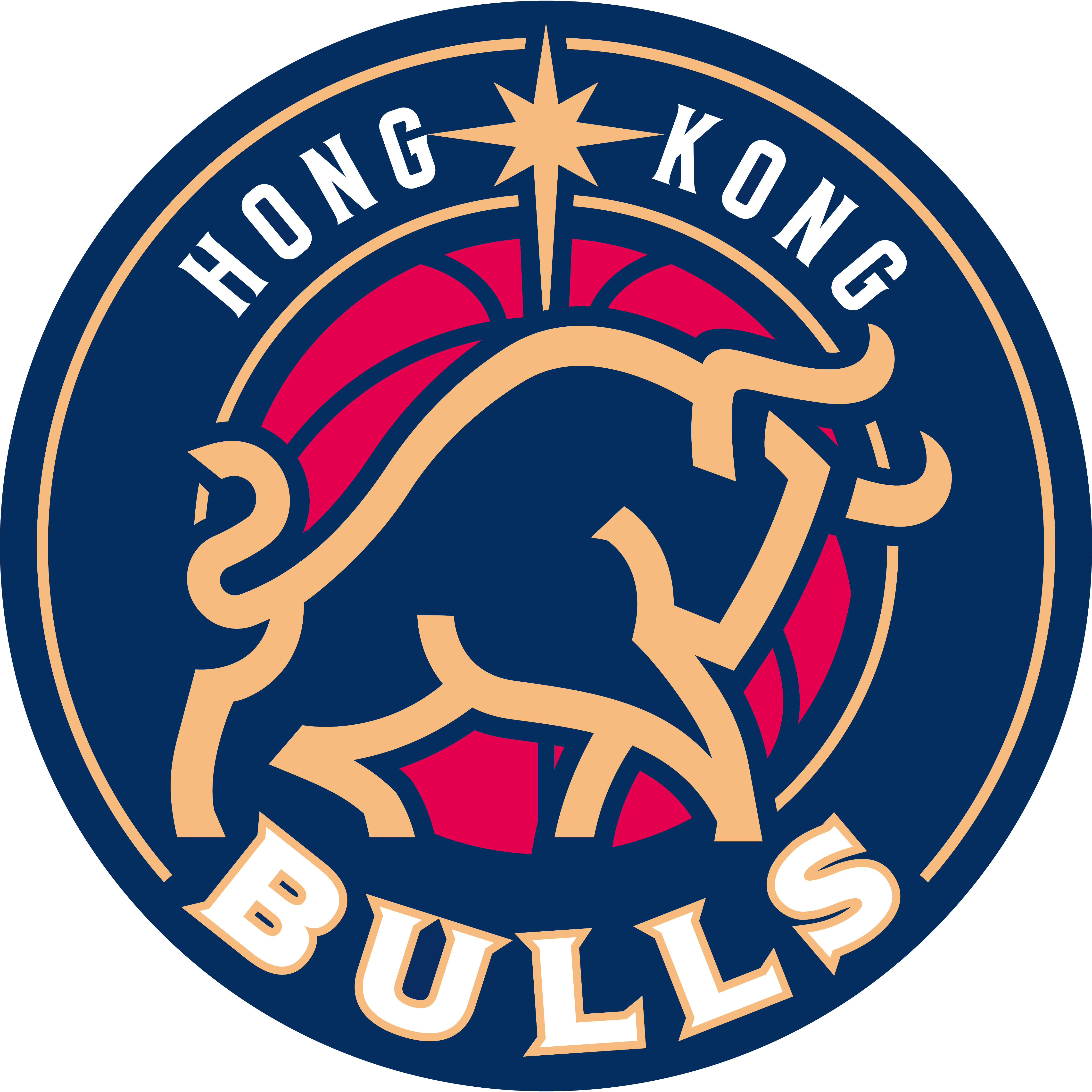 香港金牛logo