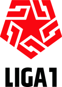 秘鲁甲logo