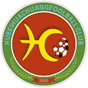 武汉江城Logo