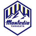 山形山神Logo