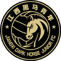 江西黑马青年Logo