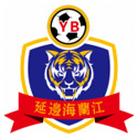 延边龙鼎logo